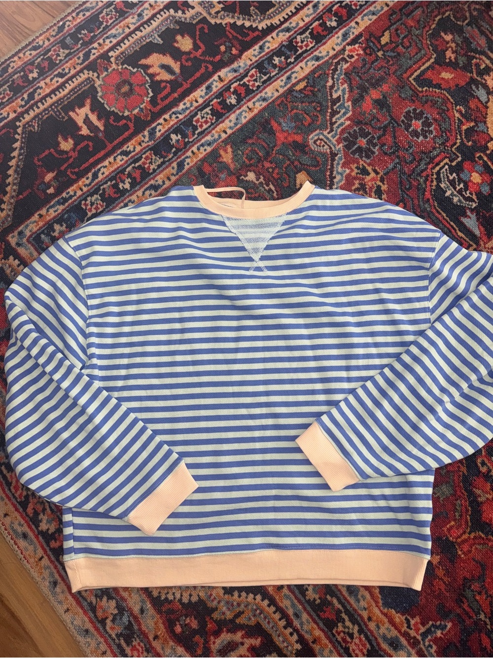 We The Free Blue Striped Crewneck with Peach Trim
